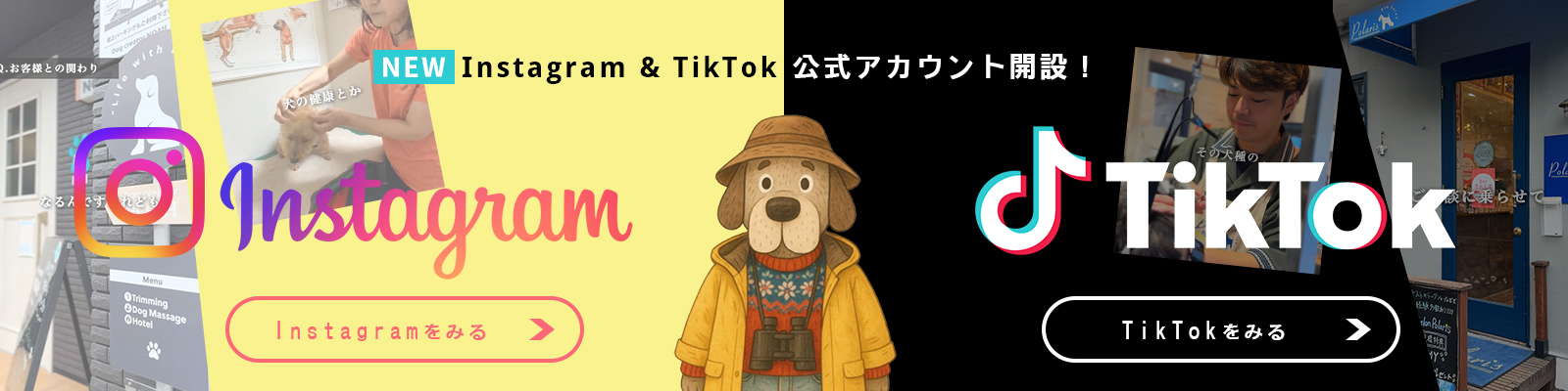 Instagram & TikTok 公式アカウント開設