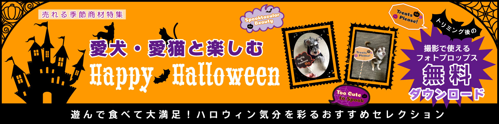 ハロウィン特集