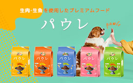 パウレfood特集