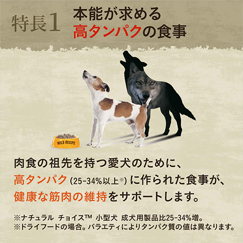 ニュートロ　ワイルドレシピ　超小型犬〜小型犬用　成犬用　ビーフ　２ｋｇ