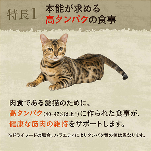 ニュートロ　キャット　ワイルド　レシピ　キトン　チキン　子猫用　４００ｇ