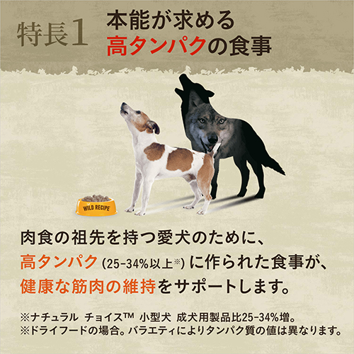 ニュートロ　ワイルドレシピ　超小型犬〜小型犬用　成犬用　ターキー　２ｋｇ