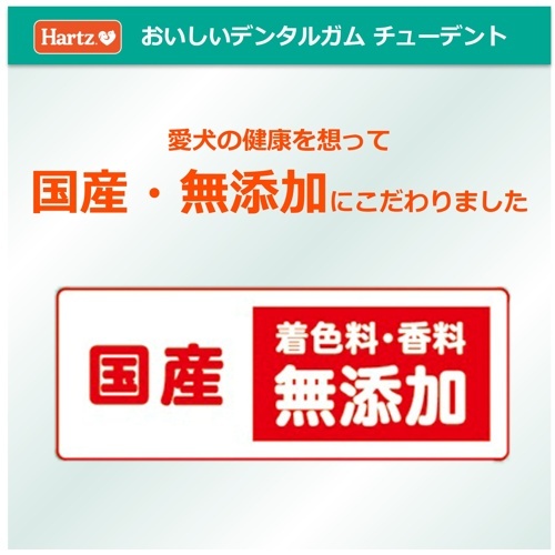 チューデントとことん噛めるもちもちガム　さつまいも味　６０ｇ