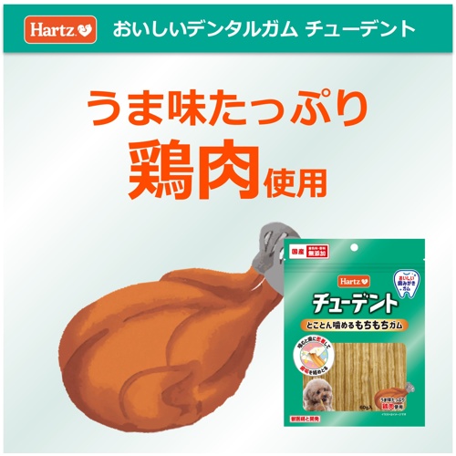 チューデントとことん噛めるもちもちガム　チキン味　６０ｇ