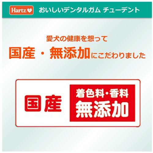 チューデントとことん噛めるもちもちガム　チキン味　６０ｇ