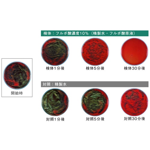 おくちすこやかゼリーヨーグルト風味　３０包
