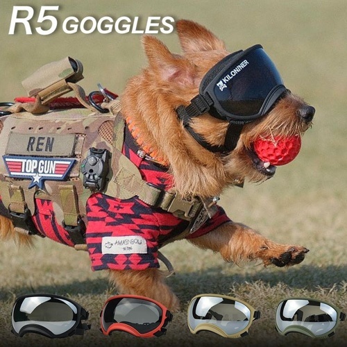 Ｒ５　ゴーグル　レンジャーグリーン