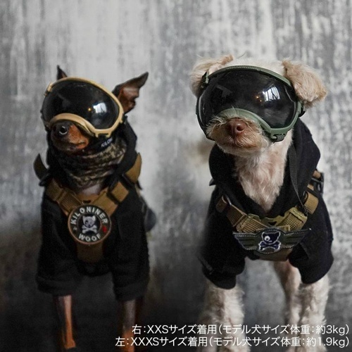 シグネチャーゴーグル　ＸＸＸＳ　コヨーテ