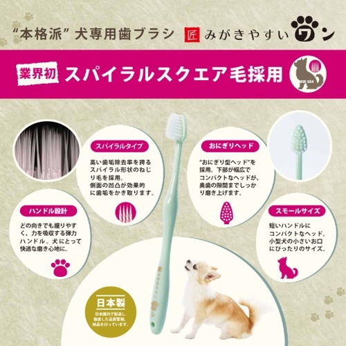 みがきやすいワン　フラット毛　Ｓ