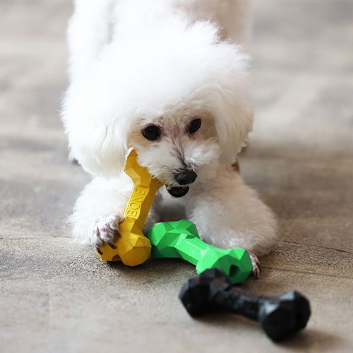 ＢＯＮＥ　ＢＯＮＥ　ＢＯＮＥ　ＧＲＥＥＮ