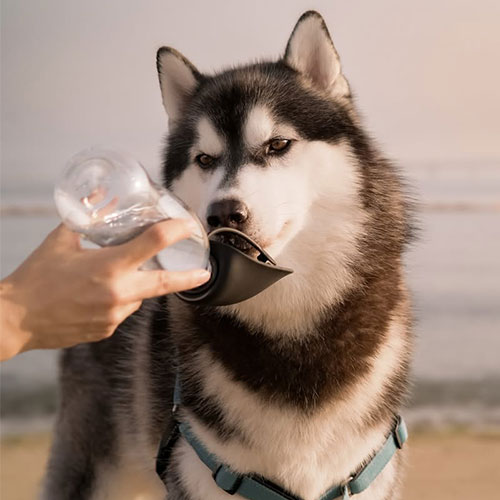 ドゥーグ　３ｉｎ１ドッグウォーターボトル　ネイビー