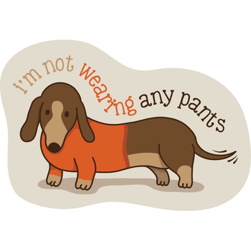 ステッカーパック　Ｓ　ノットウェアリングパンツ　ダックス