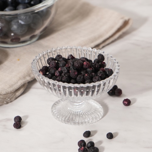 ドッグツリー フリーズドライ ブルーベリー M 13g