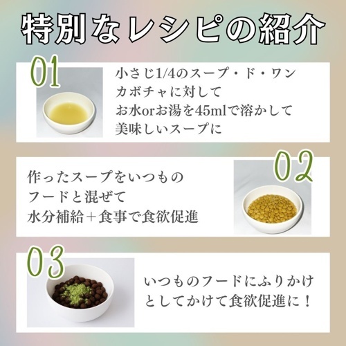 スープドワン　犬用　カボチャスープ