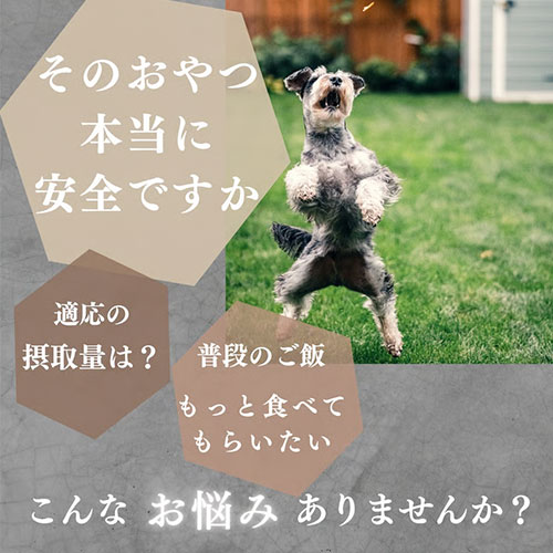 ボンパスト　犬用　サツマイモペースト５ｇ×２０本