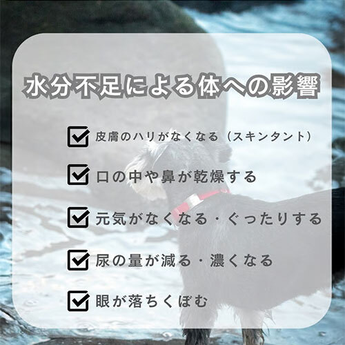 ボンパスト　犬用　サツマイモペースト５ｇ×２０本