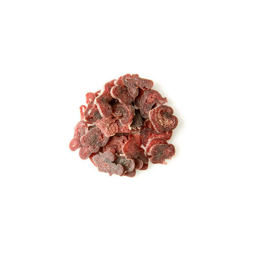 キャットビッツ　しか 20g