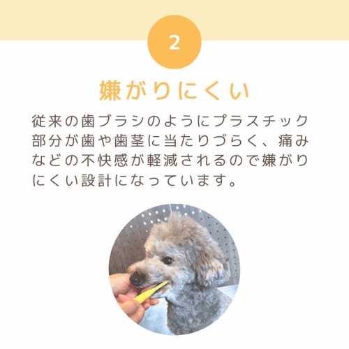 犬用歯ブラシ ハピコ　レギュラー　オレンジ