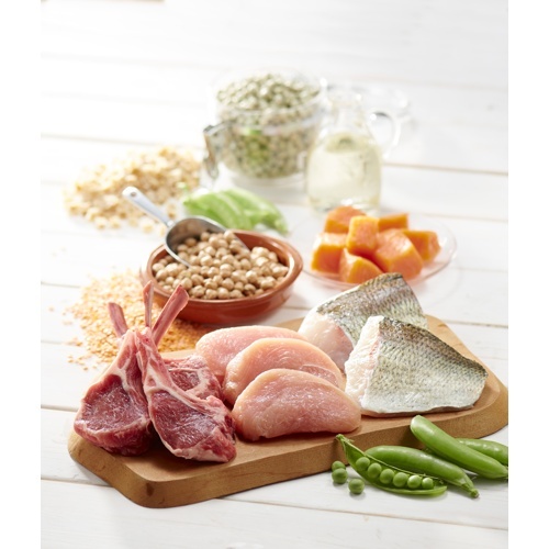 リガロ１０周年！ありがとうセット　子犬成犬用