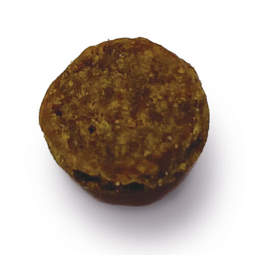 リガロ１０周年！ありがとうセット　７歳以上用