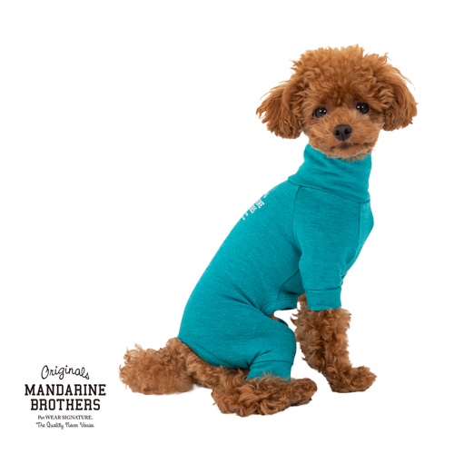 1204 ｽｷﾝﾀｲﾄｽｰﾂ ﾀｰｺｲｽﾞ L