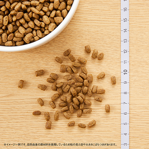 ニュートロナチュラルチョイス　毛玉トータルケア猫用　アダルトチキン　400g