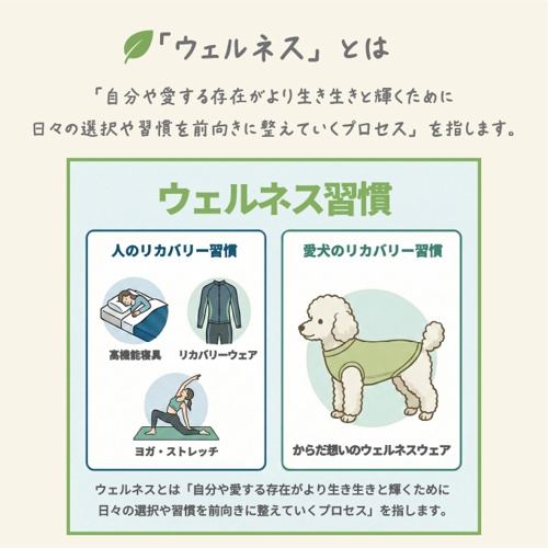 ｳｪﾙﾈｽｳｪｱ ﾛﾝｸﾞﾎﾞﾃﾞｨ ﾌｫﾚｽﾄｸﾞﾘｰﾝ D-L