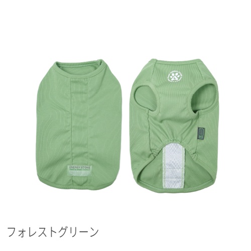 ｳｪﾙﾈｽｳｪｱ ﾌｫﾚｽﾄｸﾞﾘｰﾝ XS