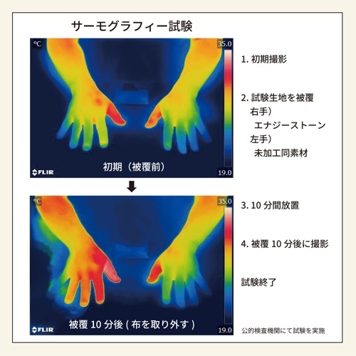 ｳｪﾙﾈｽｳｪｱ ﾌｫﾚｽﾄｸﾞﾘｰﾝ S