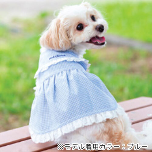 チェック柄ワンピース　グリーン　Ｍ