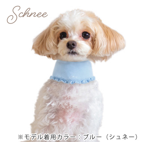 ペット用クールネック　シュネー　ピンク