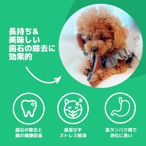 ﾌﾞﾘｰｽﾃｨｯｸﾁｭｰ M 1本入 15cm