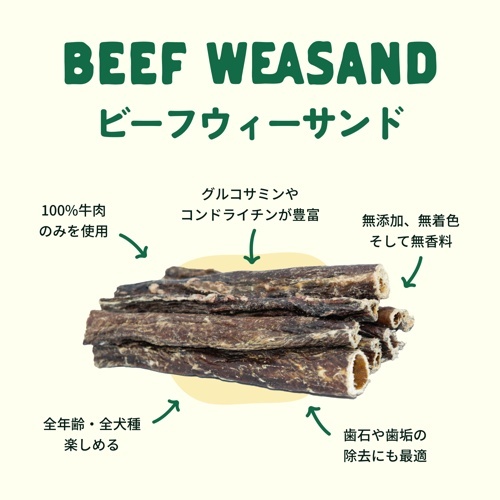 ﾋﾞｰﾌｳｨｰｻﾝﾄﾞｽﾃｨｯｸ M 3本入 15cm