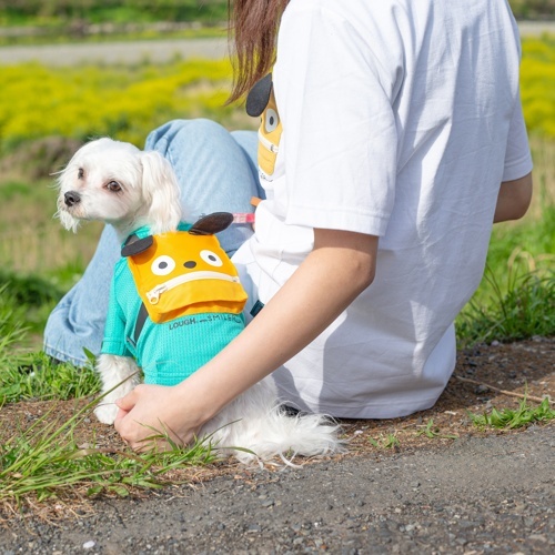 Monsterﾘｭｯｸ ﾀｰｺｲｽﾞ L