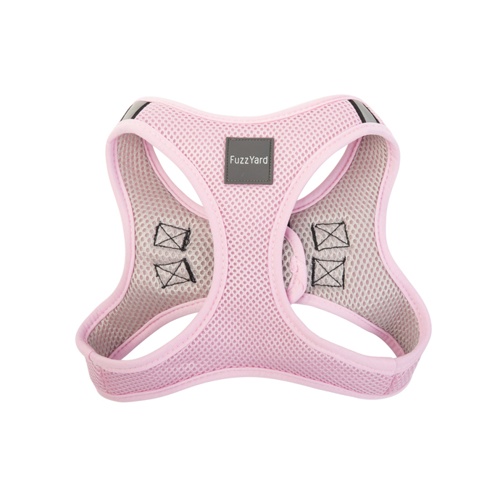 ﾌｧｽﾞﾔｰﾄﾞ ｽﾃｯﾌﾟｲﾝﾊｰﾈｽ ｺｯﾄﾝｷｬﾝﾃﾞｨ 2