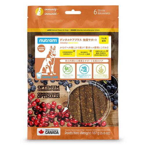 ニュートラム　デンタルケアプラス　免疫サポート　Ｌ（６本入り）