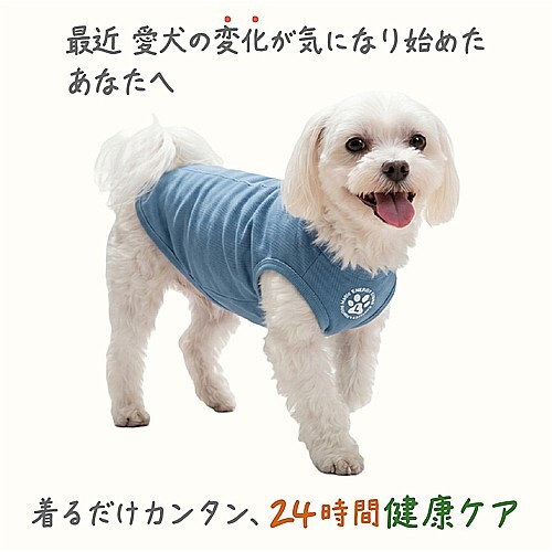 ウェルネスウェア　インディゴブルー　　ＸＳ