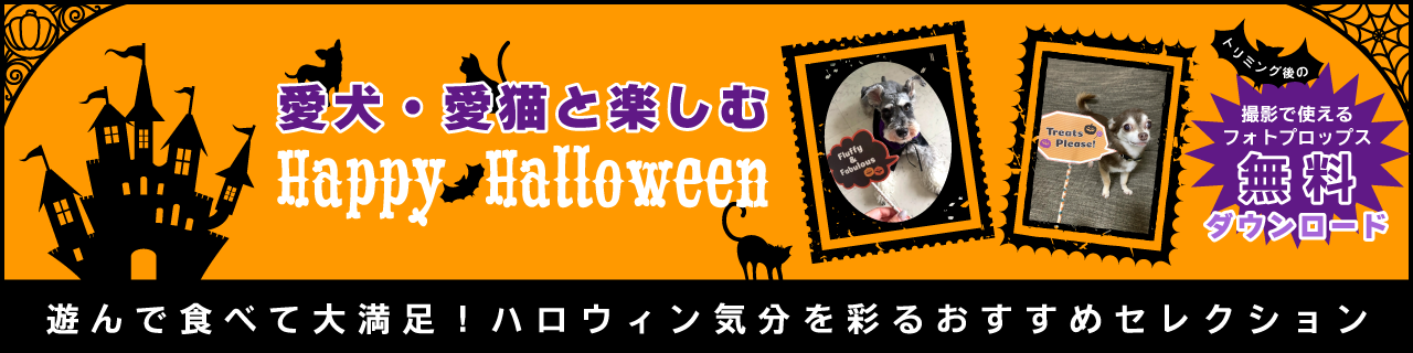 ハロウィンはおやつ&配れるおもちゃで差をつけよう