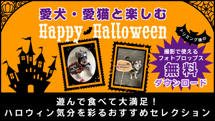 ハロウィンはおやつ&配れるおもちゃで差をつけよう